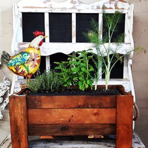 Herbalicious Chicken and Fish Delight