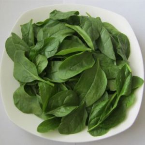 Baby Spinach / Babaspinasie