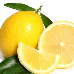 CITRUS Lemon Lisbon / SITRUS Suurlemoen Lisbon