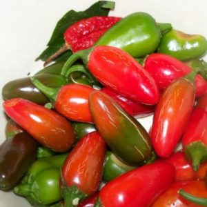 Chillie Jalapeno