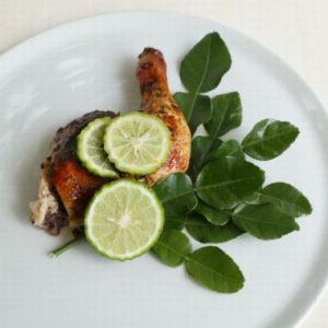 CITRUS Cooking Lime Leaf (Citrus hystrix)