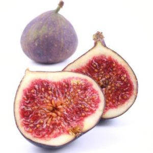 Fig 'Adam'