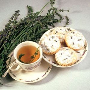 Lavandula x Intermedia Var. 'Margaret Roberts'