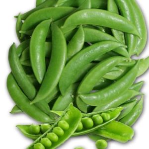 Peas 'Sugar Snap' / Ertjies