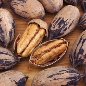 Pecan Nut / Pekanneut Pawnee