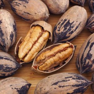 Pecan Nut / Pekanneut Pawnee