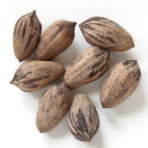 Pecan Nut / Pekanneut Ukalinga
