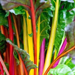 Spinach Bright Lights