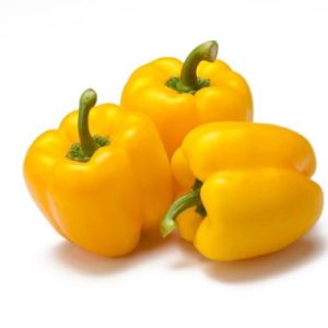 Yellow Pepper / Geelrissie