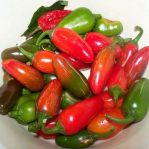 Hot Pepper Jalapeῆo