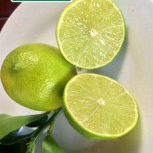 CITRUS Lime / SITRUS Lemmetjie Tahiti