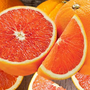 CITRUS Orange Cara Cara