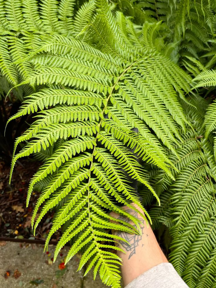 678140781_1616146477184730_5378086946745452151_n
