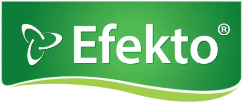 Efekto