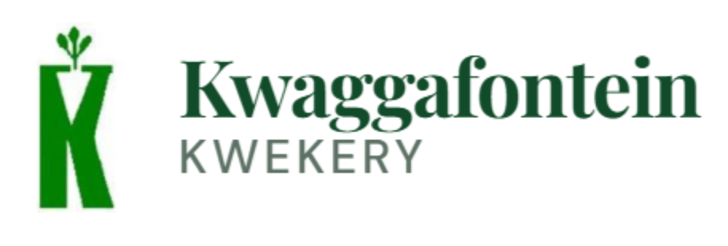 Kwaggafontein