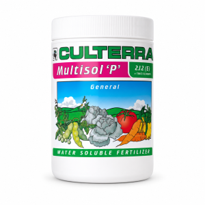 Multisol P