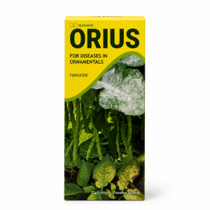 Makhro Orius